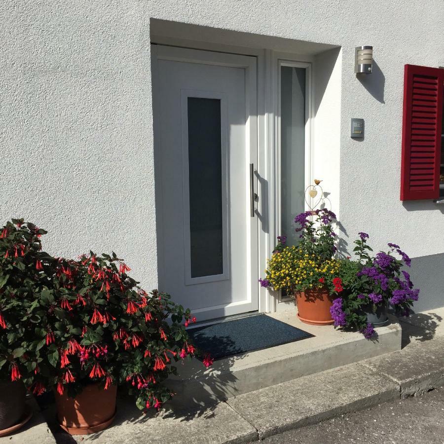 Ferienwohnungen Haus Bergflora Bach  Buitenkant foto
